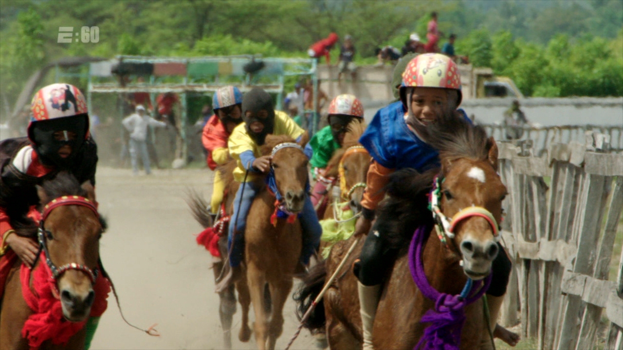 The child jockeys of Sumbawa