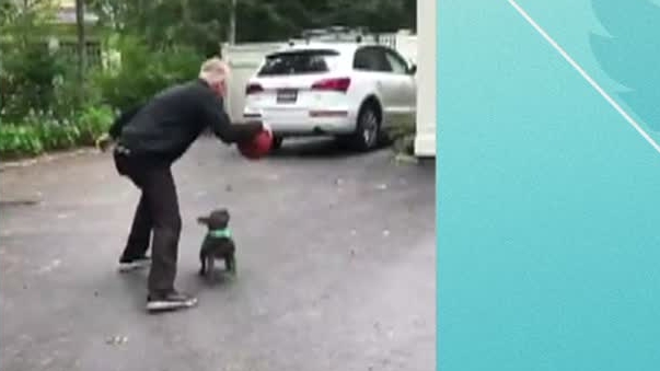 Ainge Plays Basketball With His Dog Watch Espn