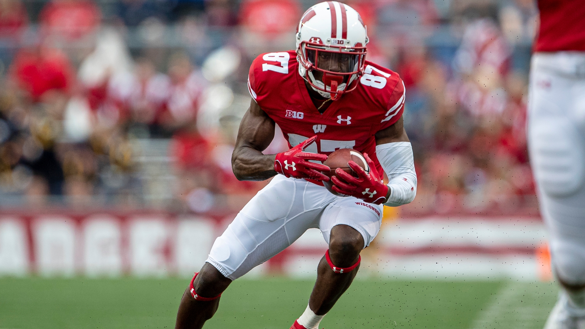 Quintez cephus cheap
