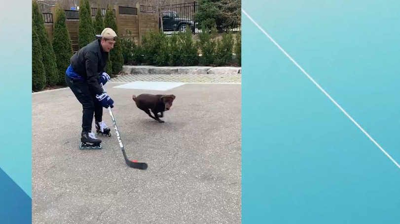 Mitch Marner plays keep-away with his dog