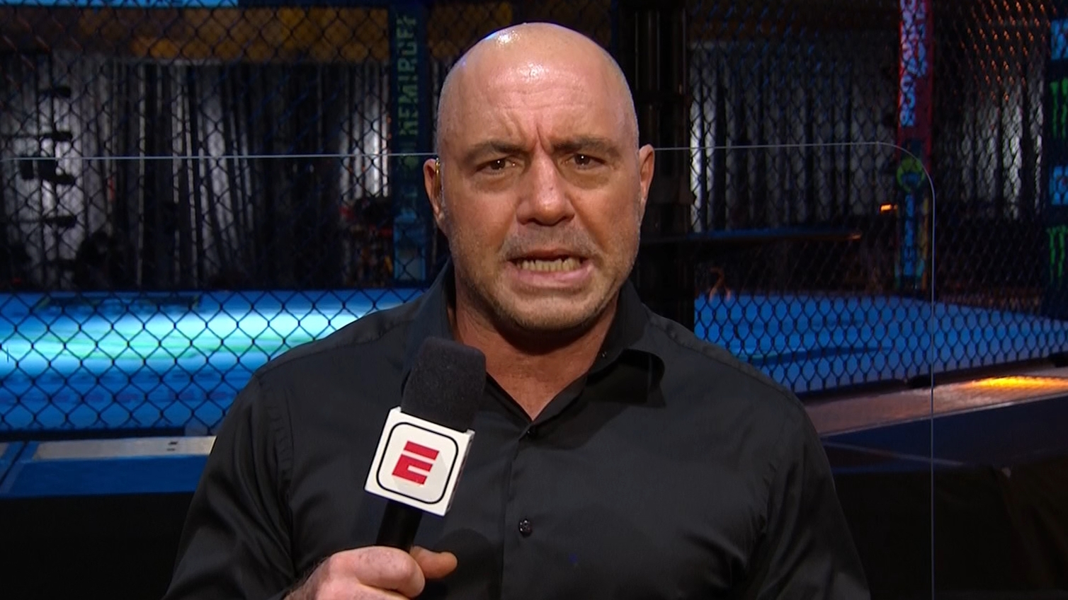 Ufc stream hotsell 250