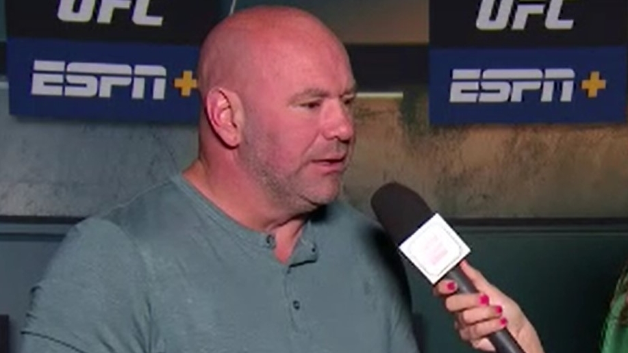 Dana White goes off on referee after Ed Herman stoppage
