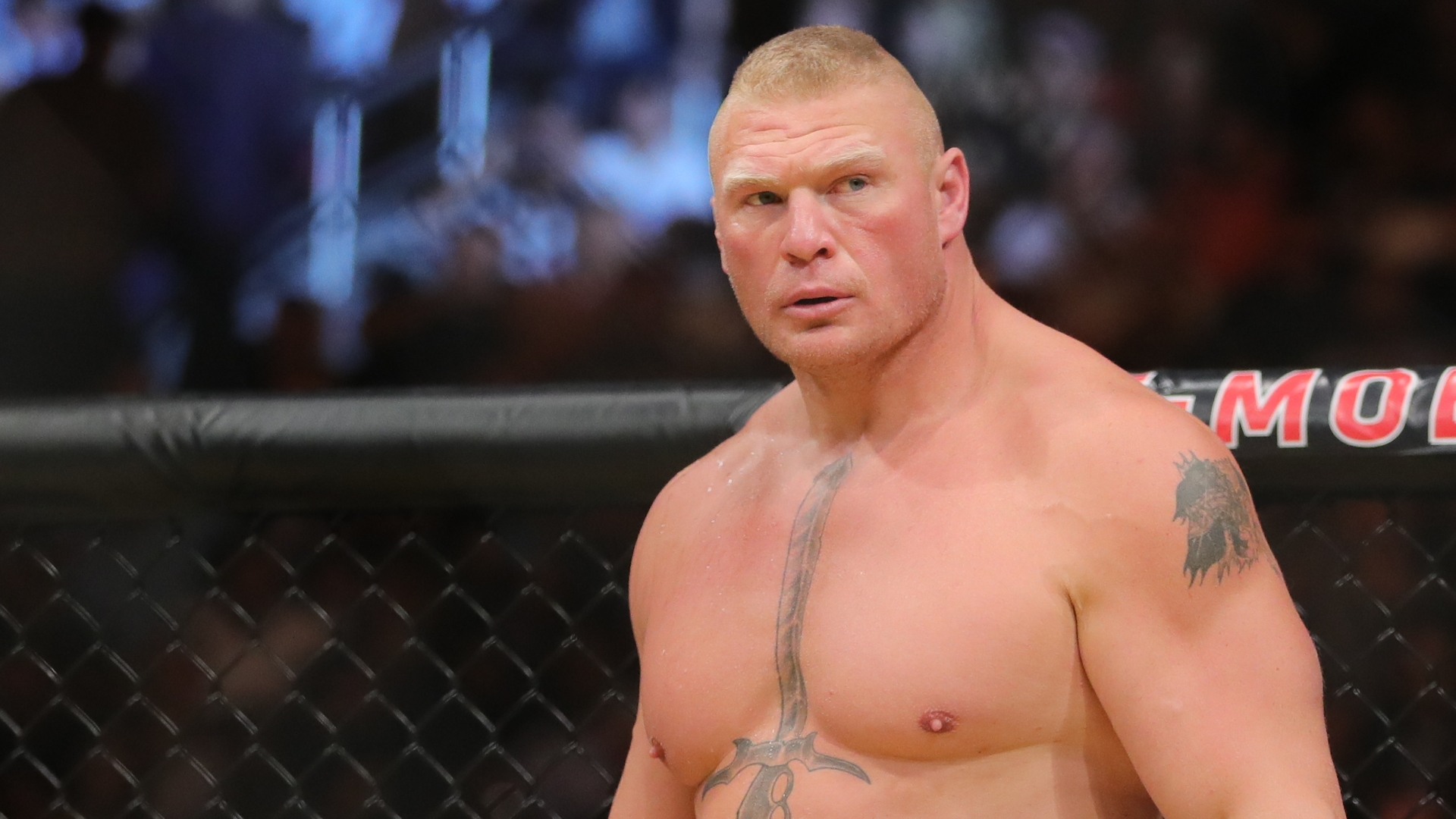 Brock Lesnar Heavyweight MMA Profile ESPN