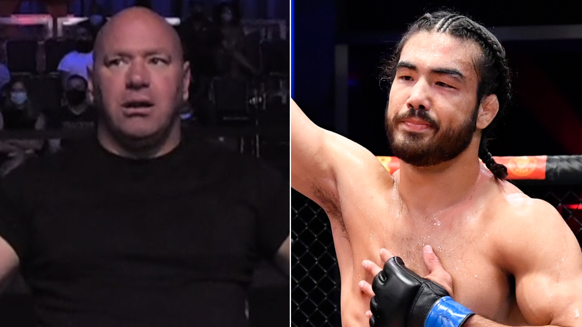 Ufc stream hotsell dana white