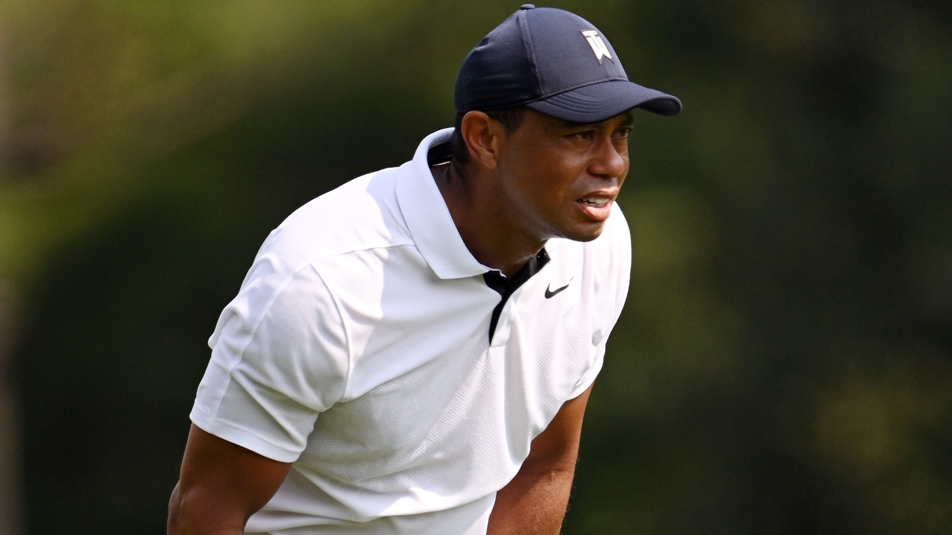 Tiger's sensational chip nearly goes in for eagle