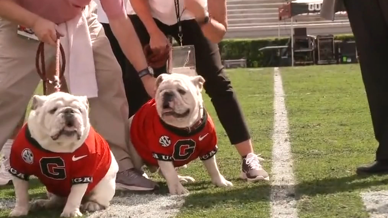 introduces UGA XI Stream the Video Watch ESPN