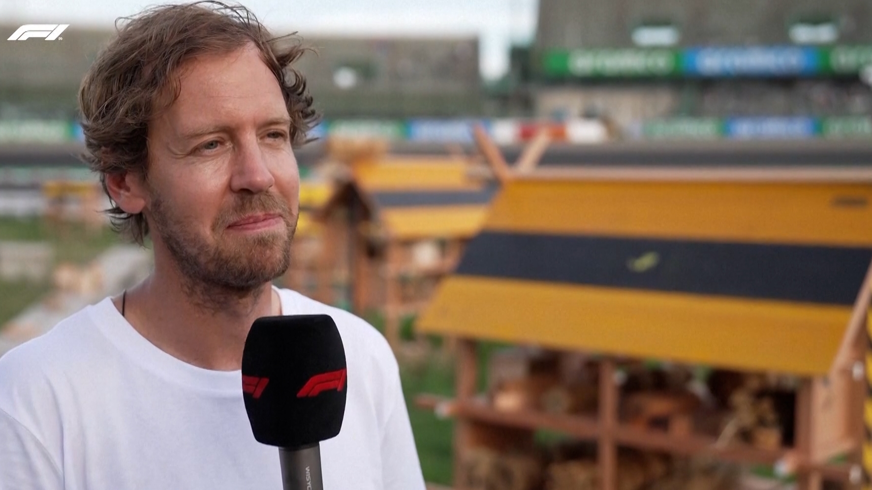 Vettel returns to F1 to help create bee hotels at Suzuka - Stream the Video