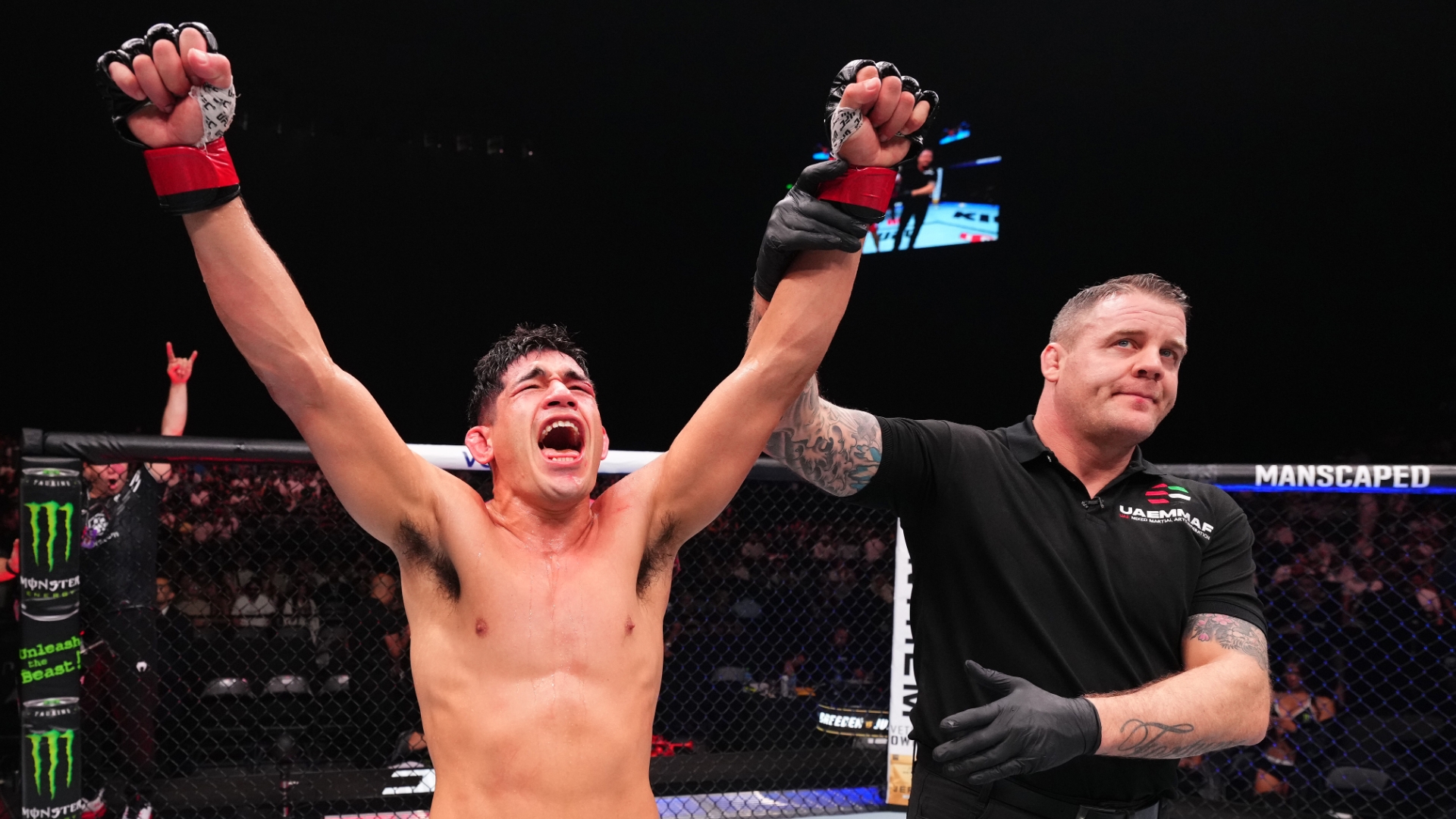 Ufc 241 putlocker on sale