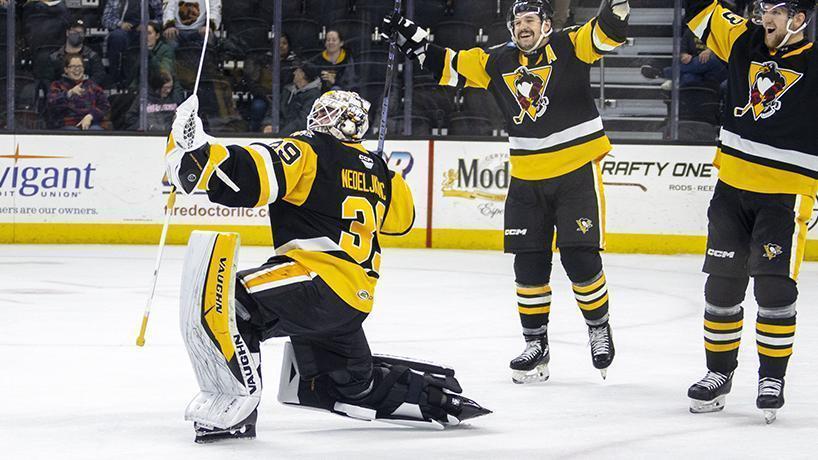 Goalie Goal! AHL's Alex Nedeljkovic Scores From Across The Ice - Stream ...