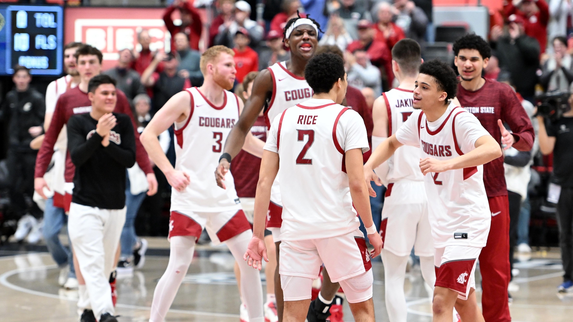 Washington state cougars 2024 men's basketball