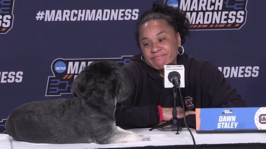 Staley advocates for her dog to get a nameplate at press conferences