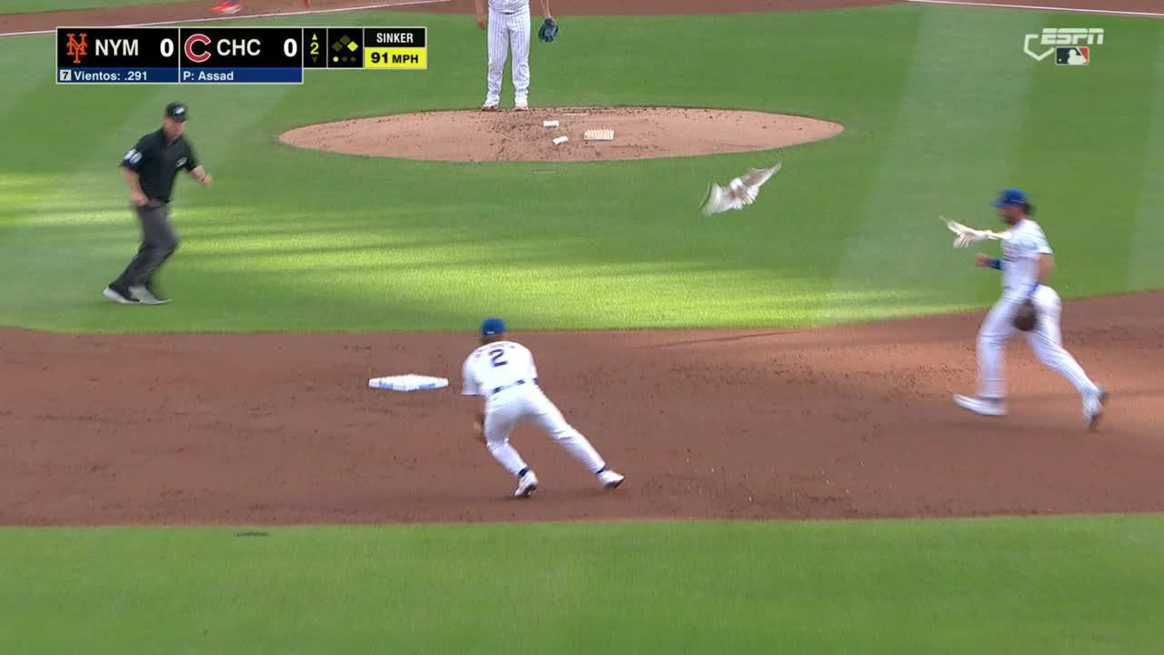 Cubs record double play after ball almost hits seagulls