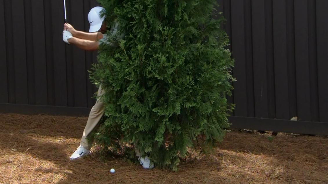 Scottie Scheffler finds the fairway from inside a tree