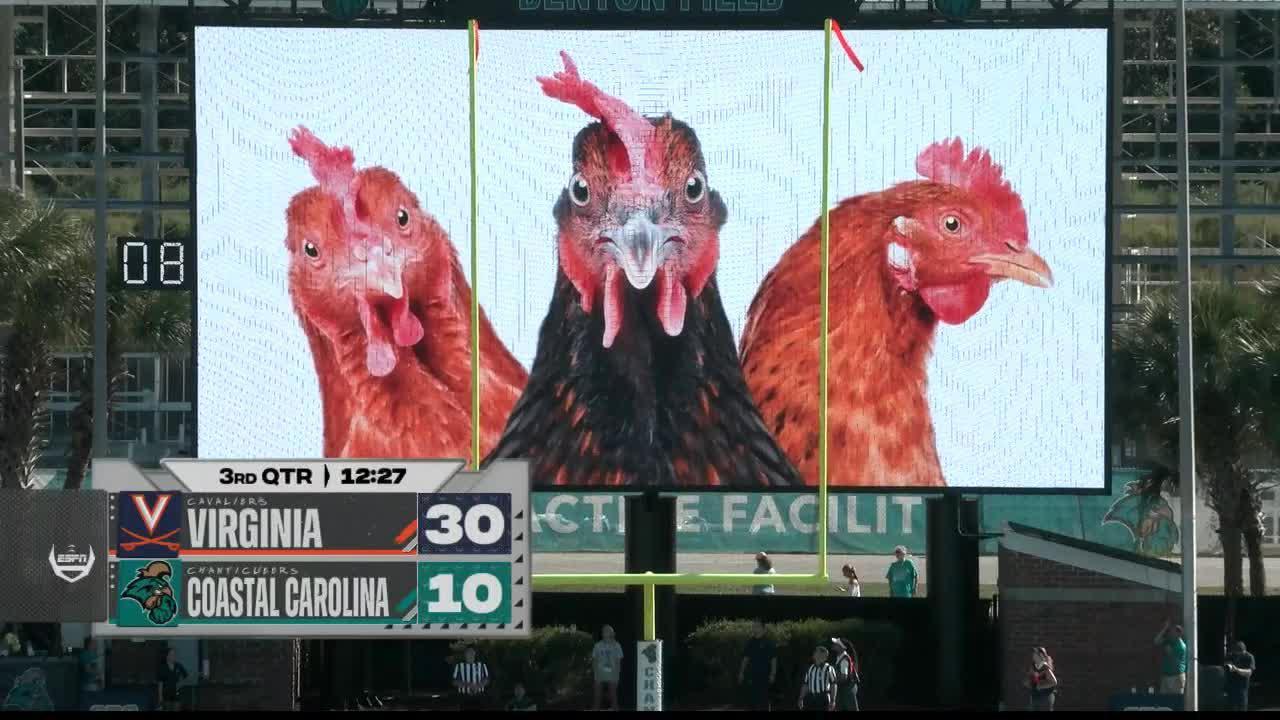 Will Bettridge drills UVA field goal as roosters watch on billboard