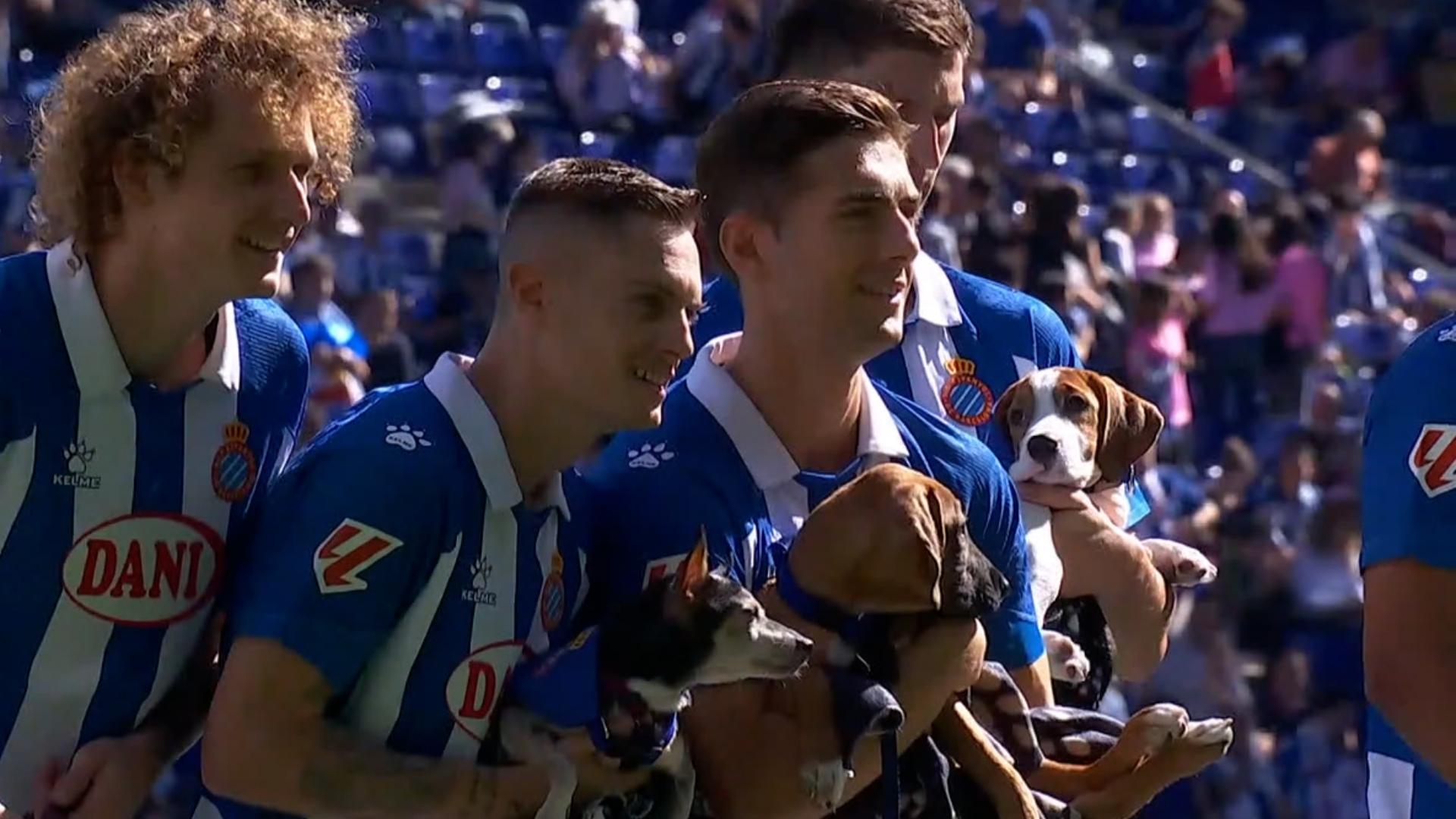 Espanyol take to the field with dogs from local shelter