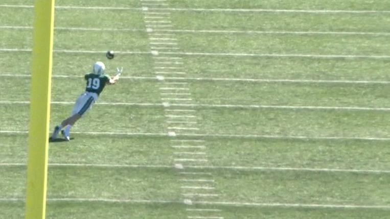 Dartmouth WR flies in for a great diving catch off a deflection