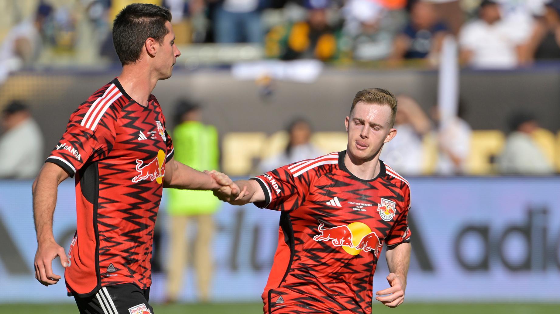 Sean Nealis' volley gives Red Bulls hope in MLS Cup