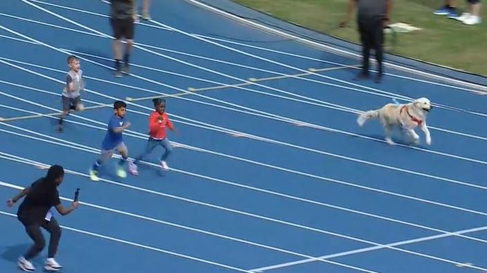 Kids race dog on the Bahamas Bowl track