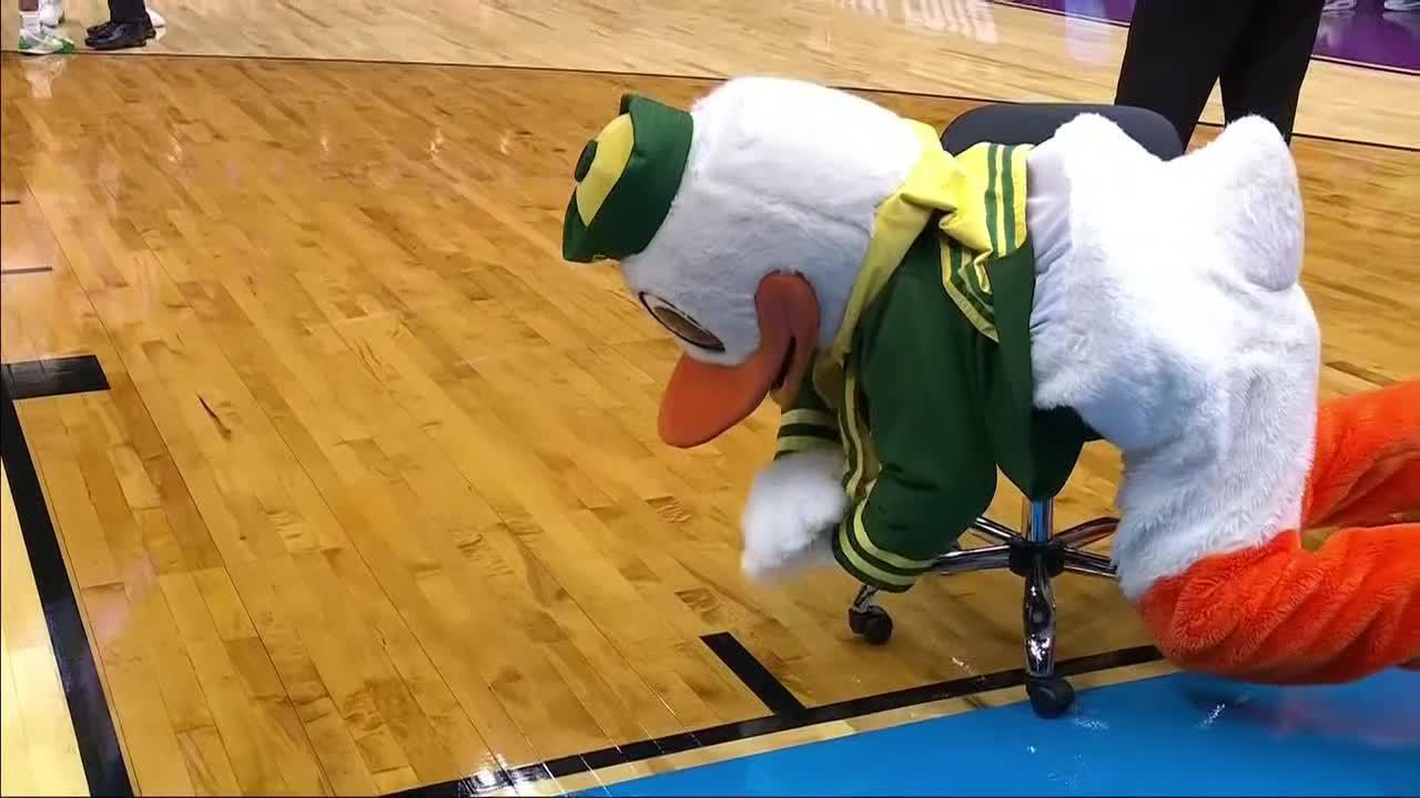 The Oregon Duck is having a blast during the game