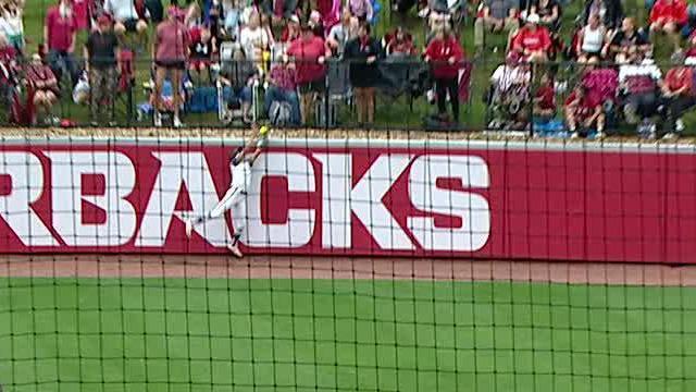 Reagan Johnson leaps high to rob HR for Arkansas