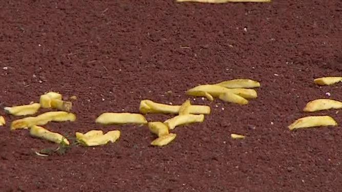 Red Sox-Yankees game stopped due to ... french fries?