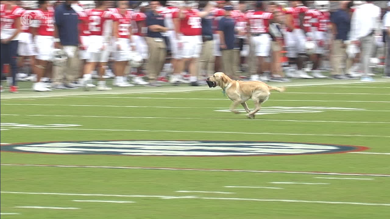 Juice Kiffin shows off his wheels with tee retrieval Stream the Video