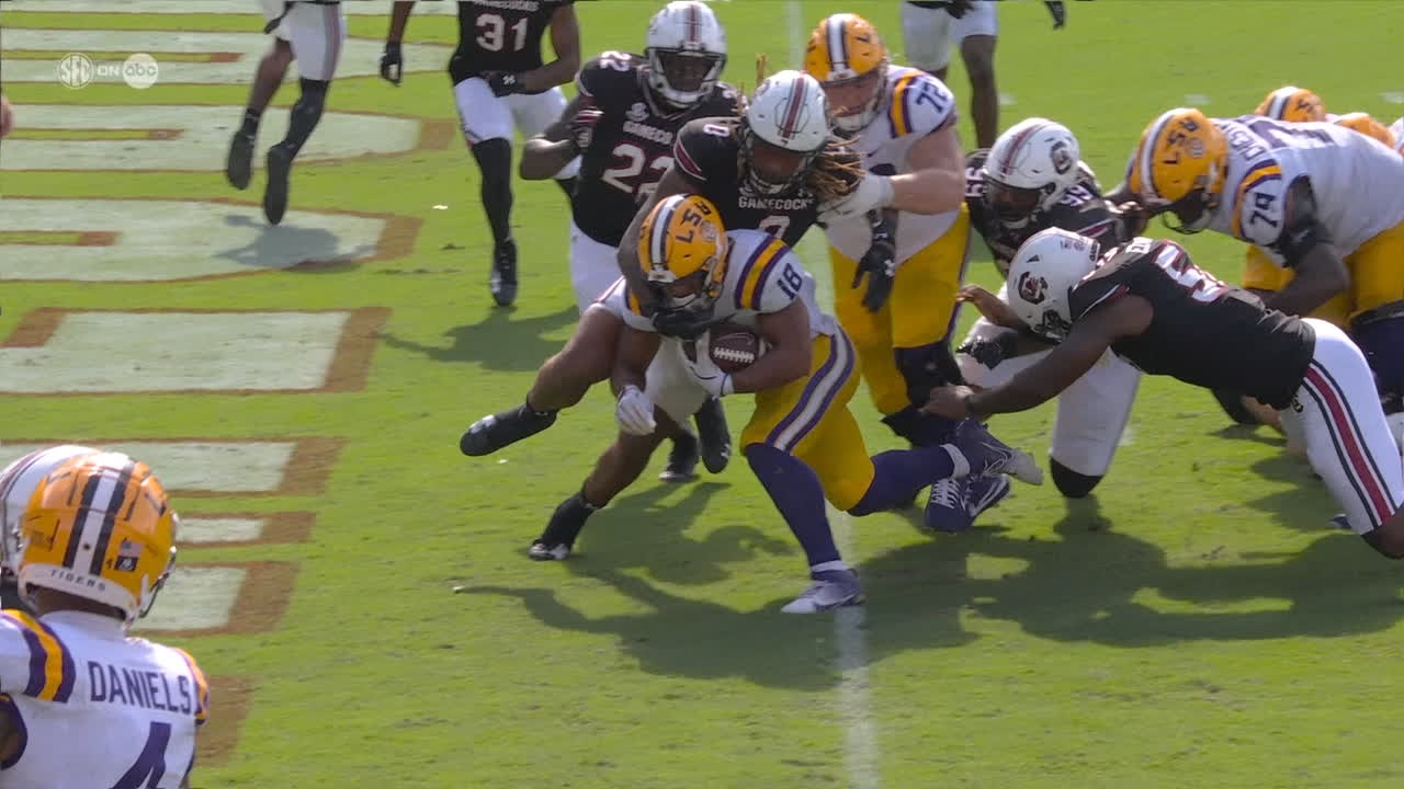 Josh Williams punches it in to give LSU a lead late in the 4th quarter