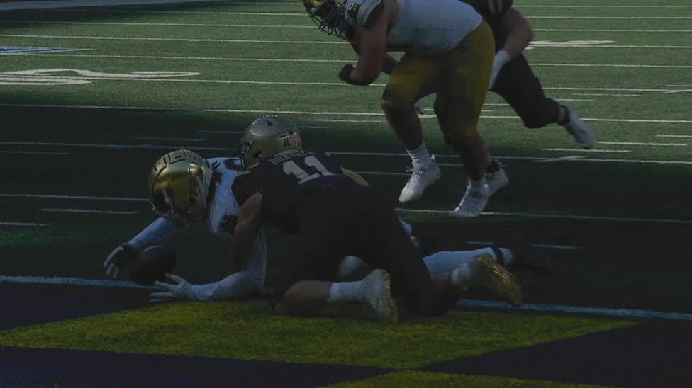 Navy QB drops ball at goal line, leading to a Notre Dame TD Stream