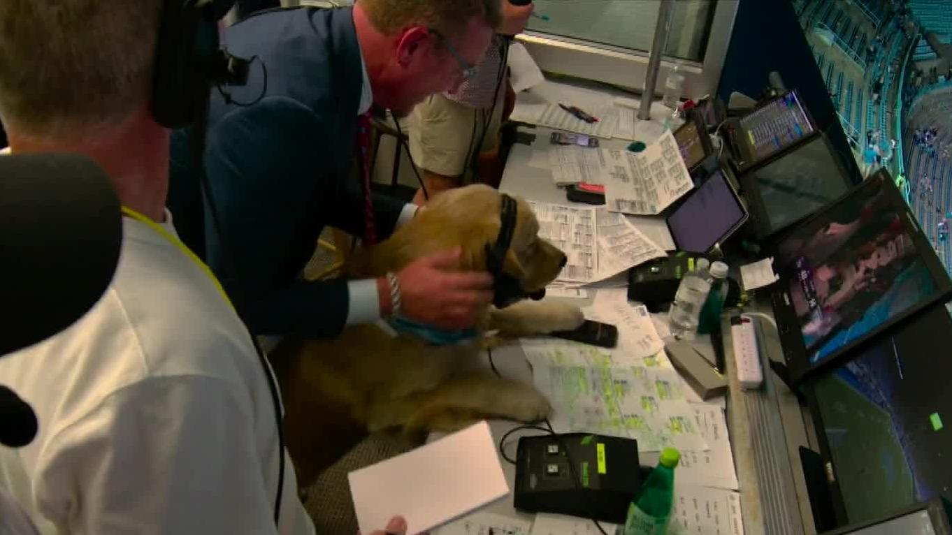 Kirk Herbstreit's dog puts on the headset during TCU-UNC blowout