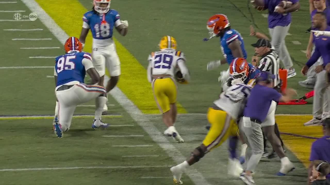 Brian Kelly gets toppled over during skirmish on the sideline