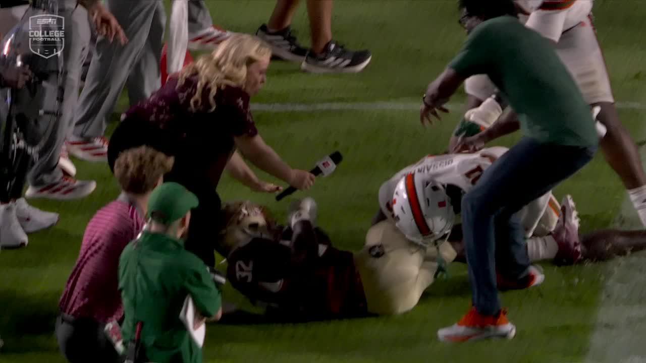 Michael Irvin, Holly Rowe have a laugh after they both get knocked over